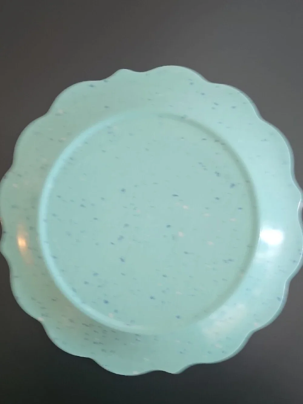 4 Pioneer Woman Melamine Dinner Plates Aqua